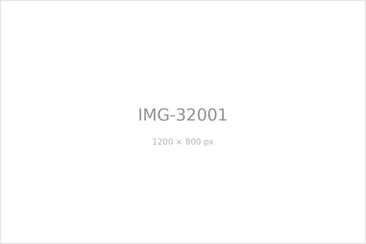 IMG-32001