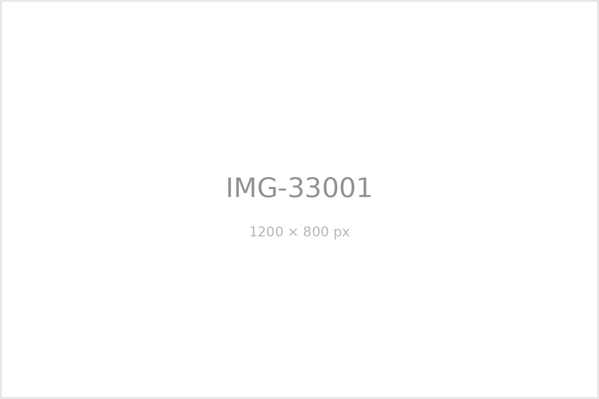 IMG-33001