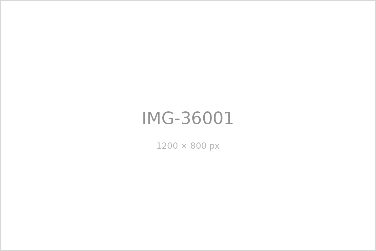 IMG-36001