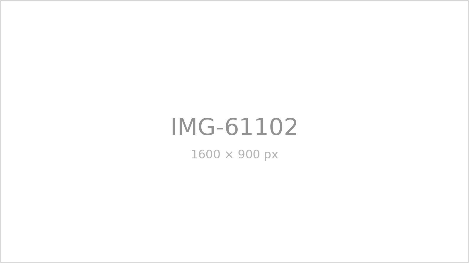 IMG-61102