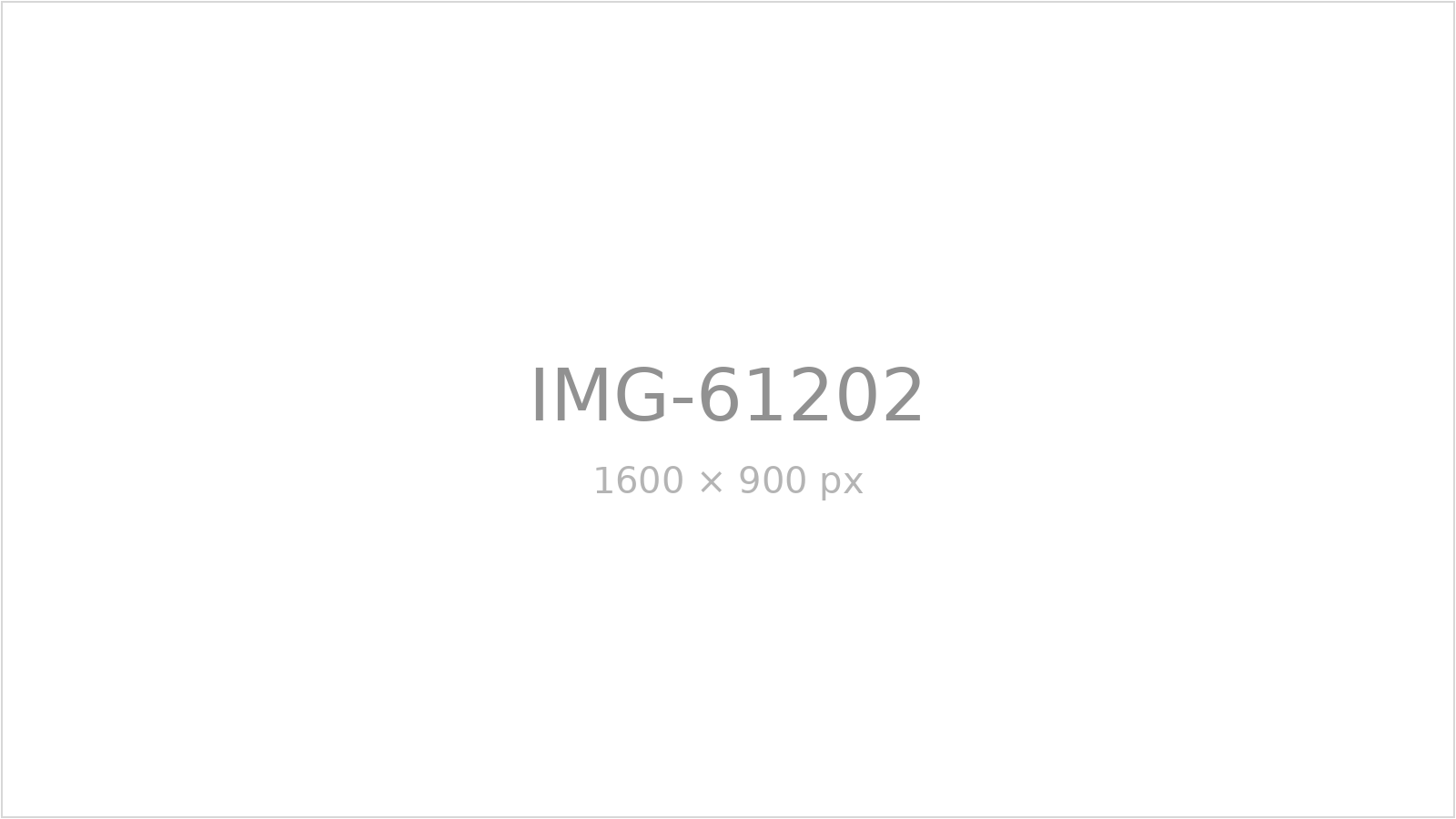 IMG-61202