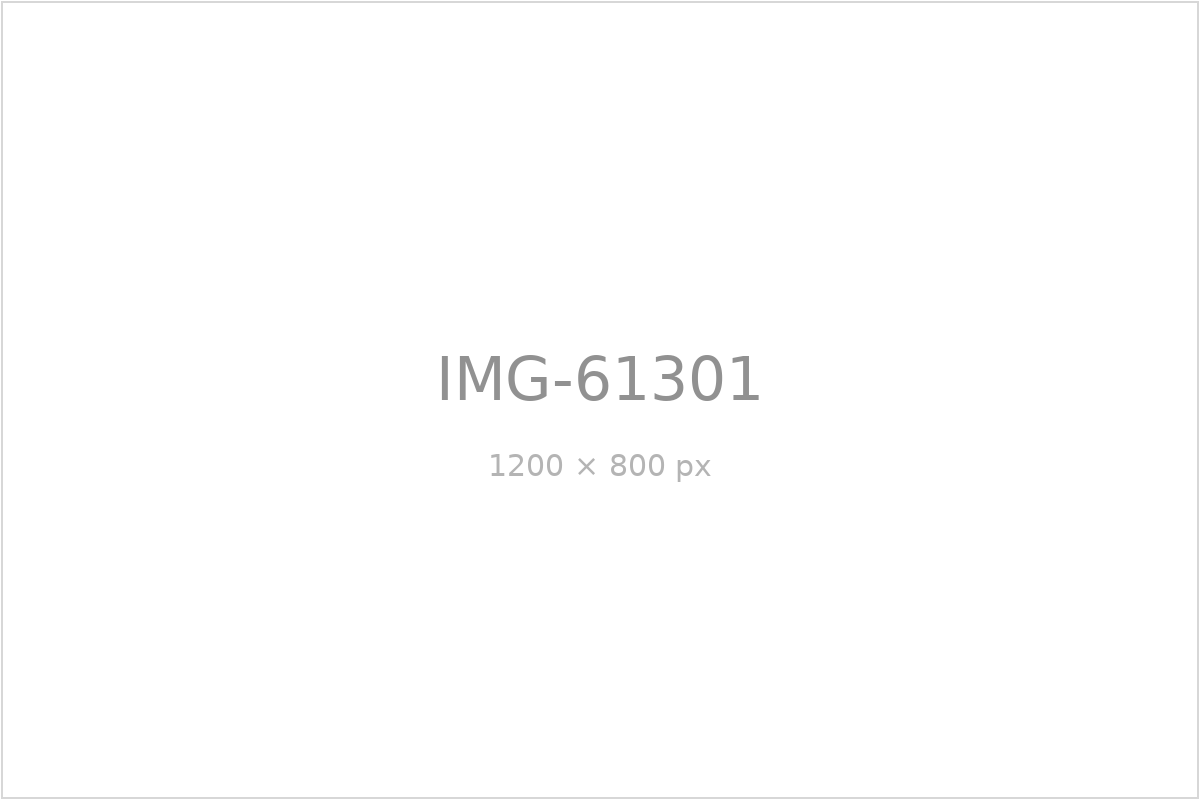 IMG-61301
