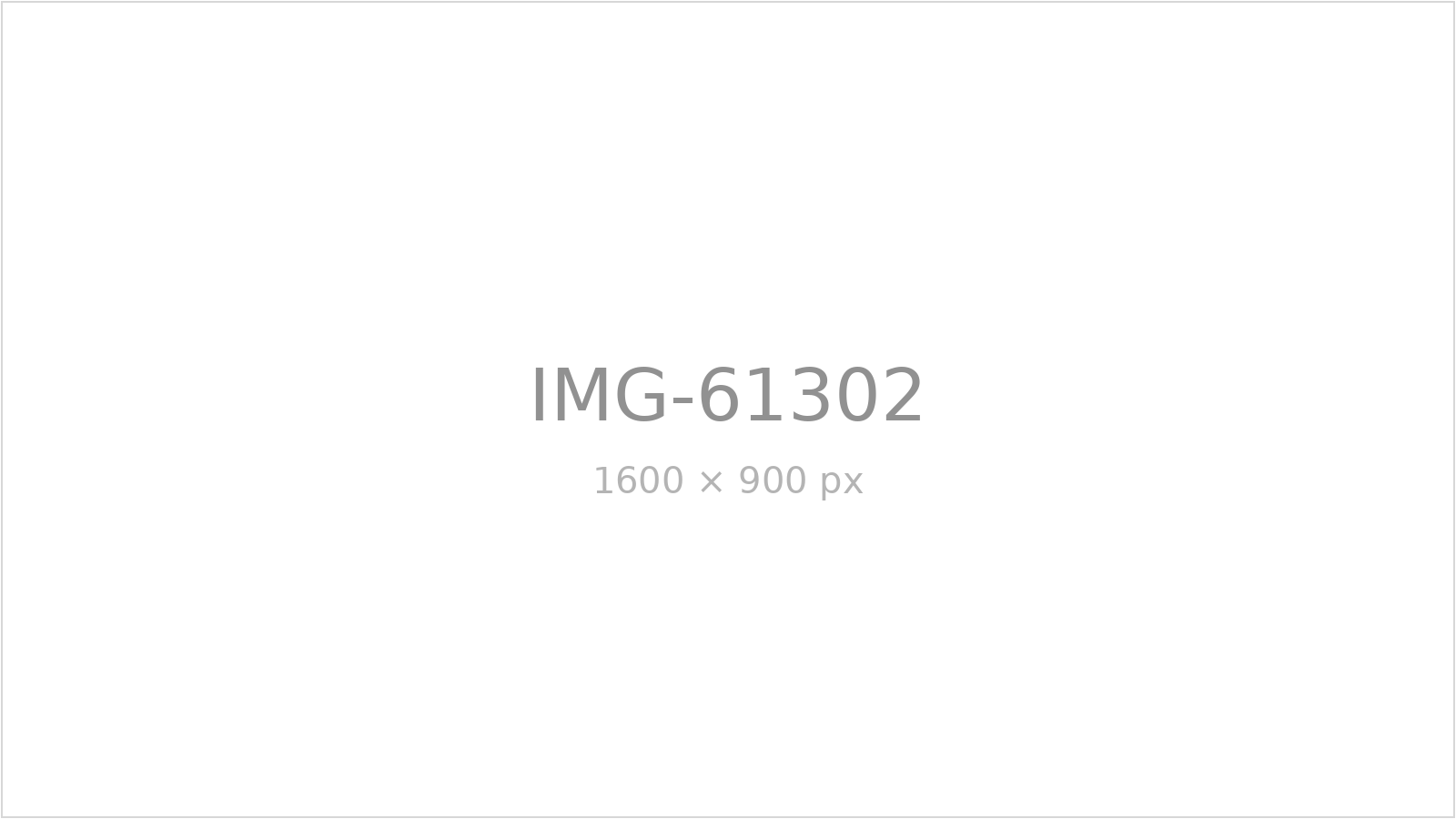 IMG-61302