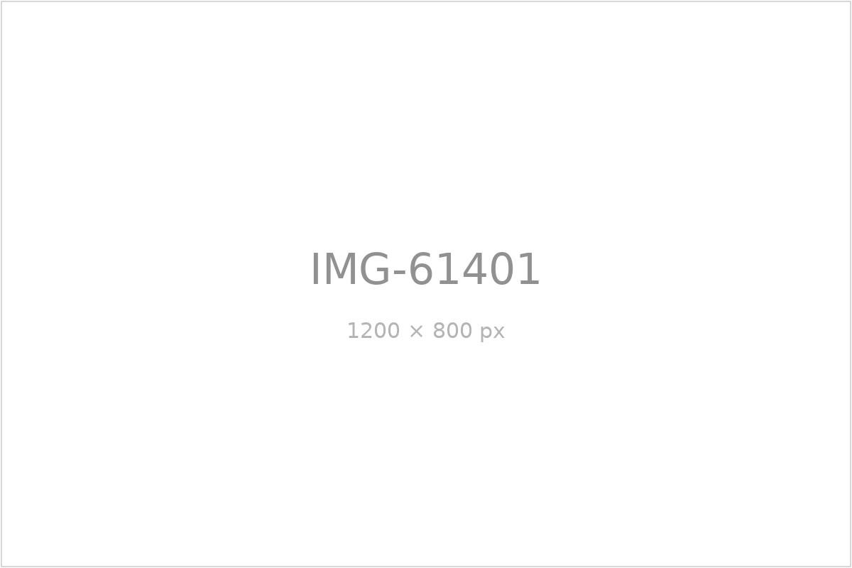 IMG-61401