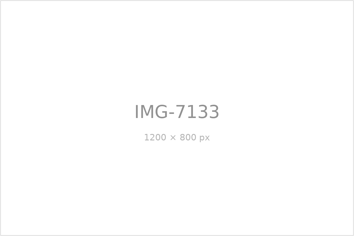 IMG-7133