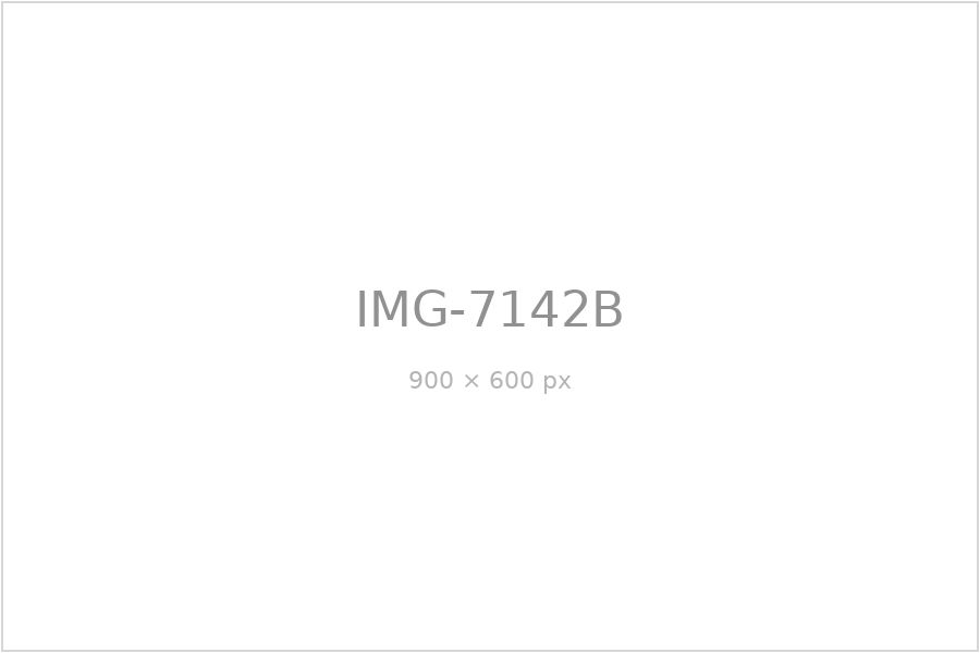 IMG-7142B