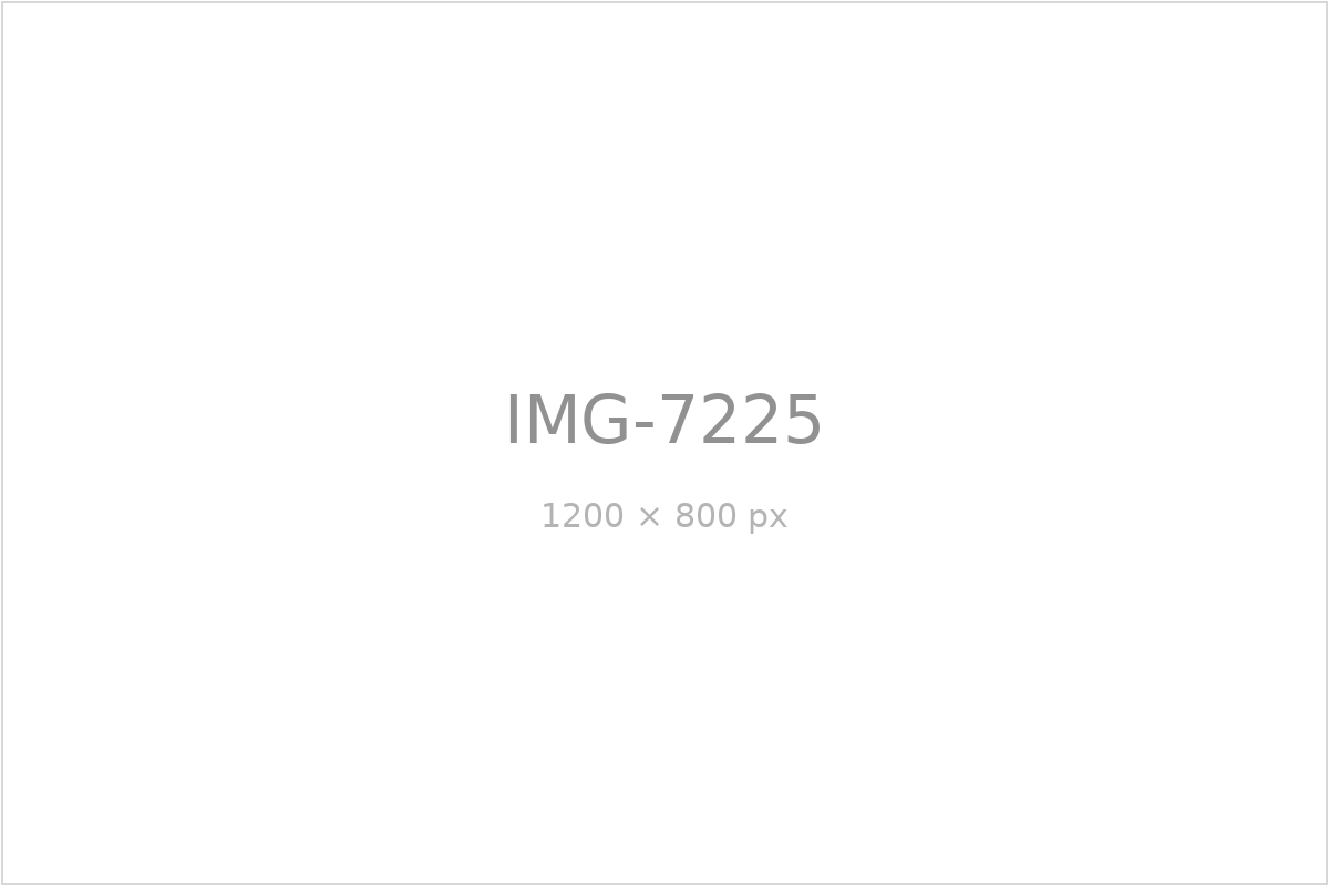 IMG-7225