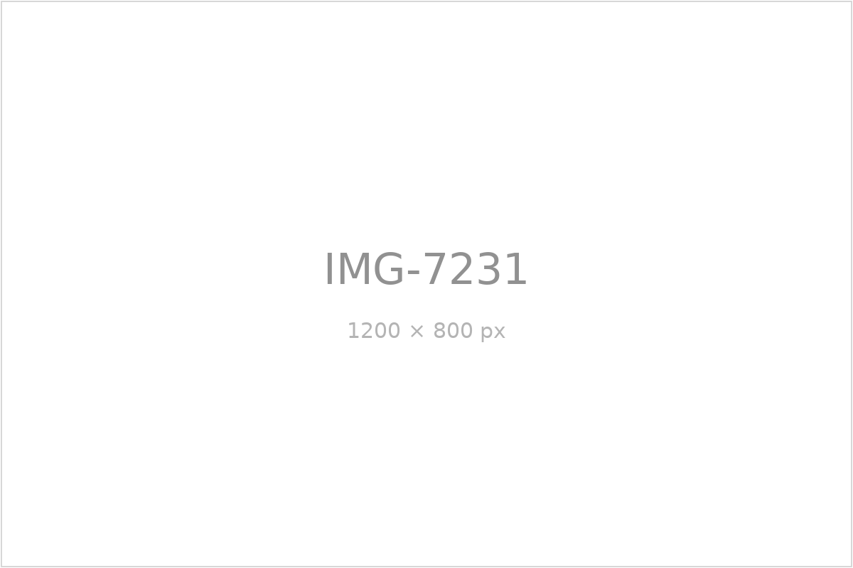 IMG-7231