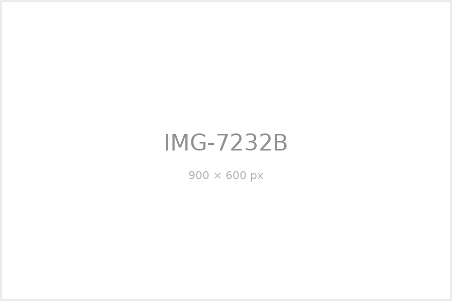 IMG-7232B