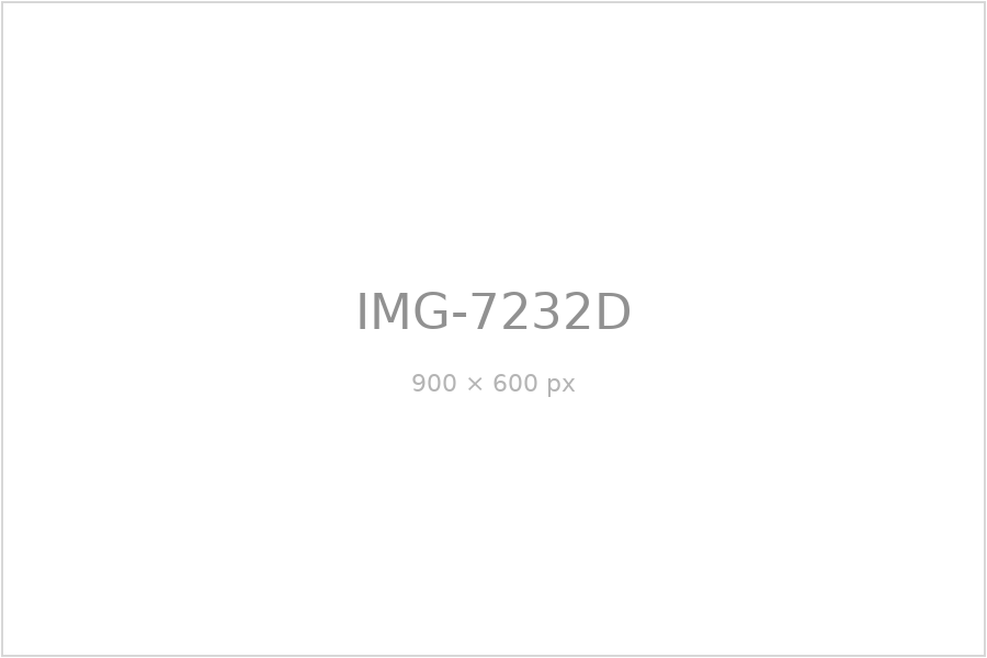 IMG-7232D
