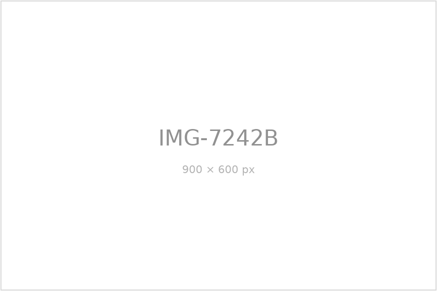 IMG-7242B